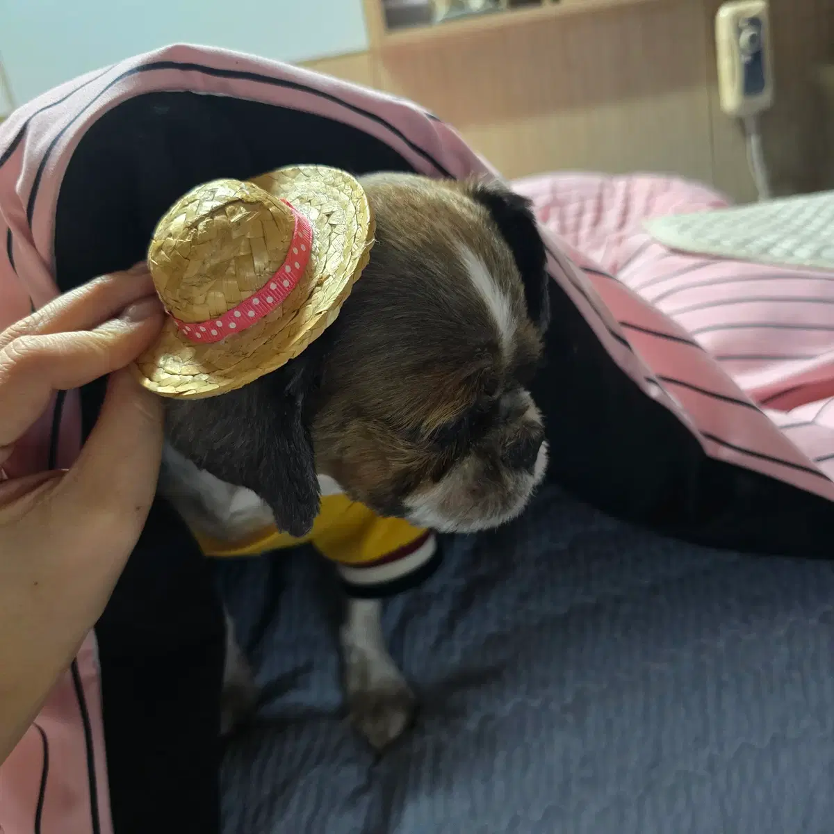 thumbnail-3